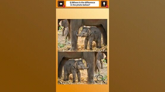 Screenshot Train Your Brain! Spot the Difference with Animal Kids Photos