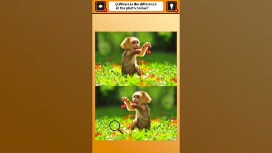 Screenshot Train Your Brain! Spot the Difference with Animal Kids Photos