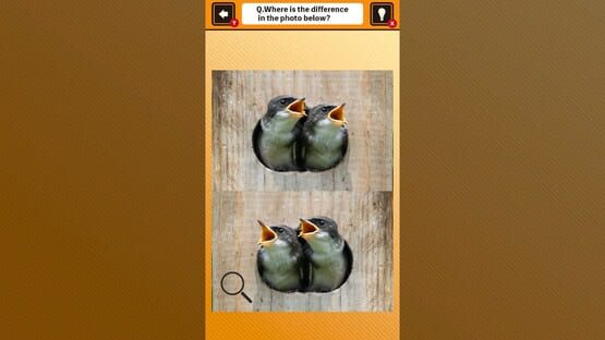 Screenshot Train Your Brain! Spot the Difference with Animal Kids Photos