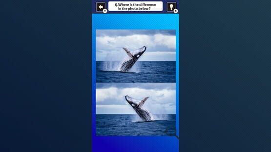 Screenshot Train Your Brain! Spot the Difference With Fish Photos