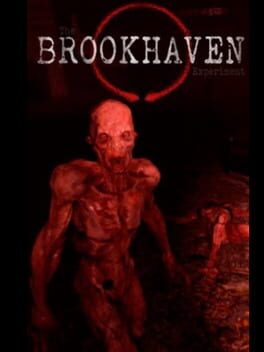 Cover The Brookhaven Experiment
