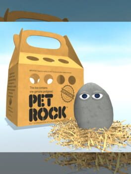 Cover Pet Rock