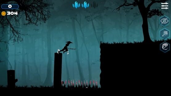 Screenshot Ninja Shadow Quest