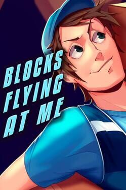 Cover Blocks Flying At Me