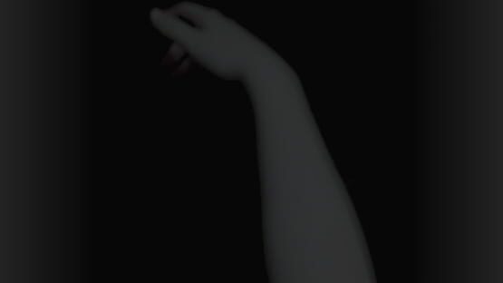 Screenshot Blind