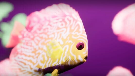 Screenshot Fish Game