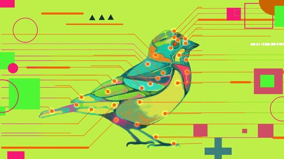 Screenshot Avian Enigma