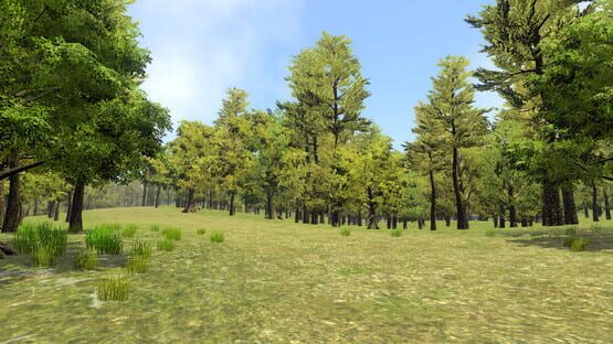 Screenshot Go Outside Simulator