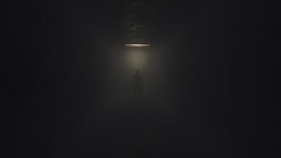 Screenshot Void Inside