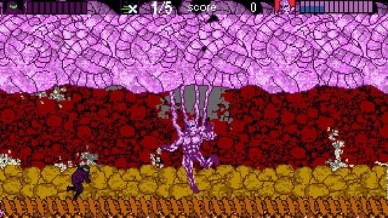 Screenshot Ninja Roquinexu