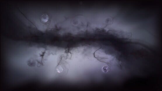 Screenshot Cyrano Story