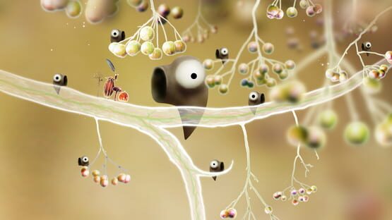 Screenshot Botanicula