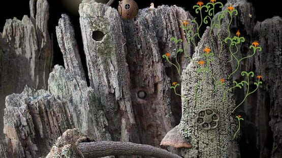 Screenshot Samorost