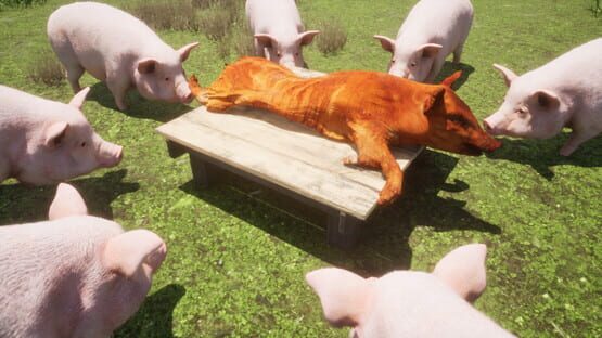 Screenshot Piggy Only Up