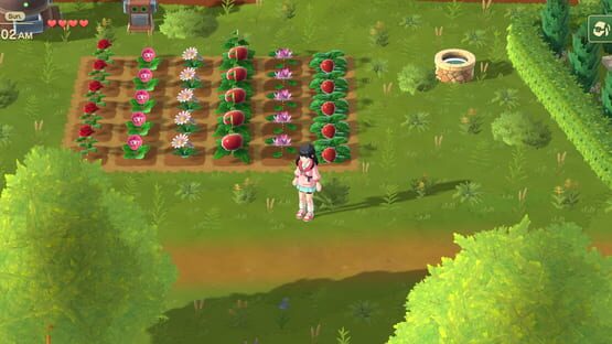 Screenshot Harvest Moon: Home Sweet Home
