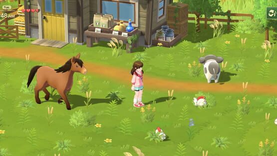 Screenshot Harvest Moon: Home Sweet Home
