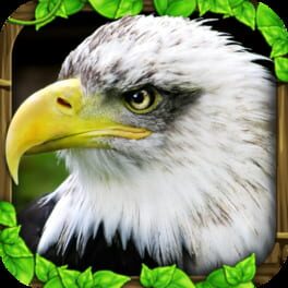 Cover Eagle Simulator