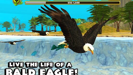 Screenshot Eagle Simulator