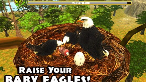 Screenshot Eagle Simulator