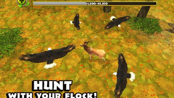 Screenshot Eagle Simulator