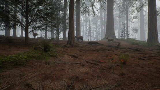 Screenshot Native Hunter