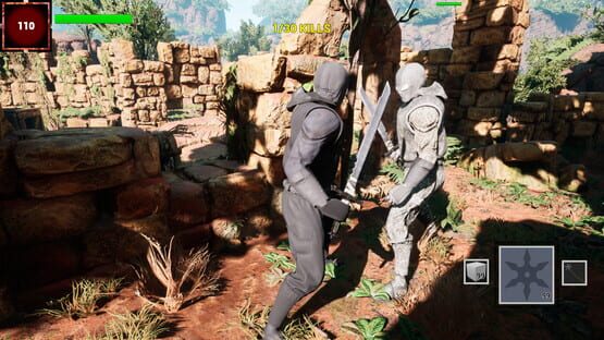 Screenshot Epic Ninja