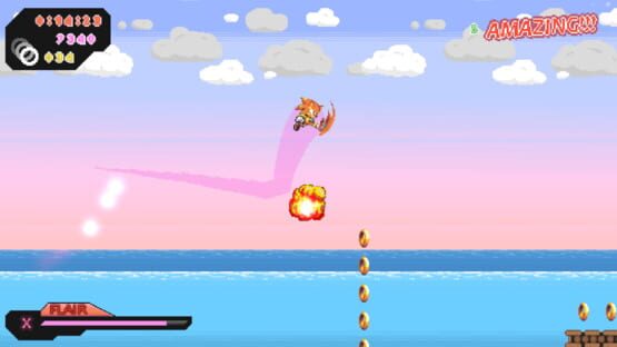 Screenshot Flair the Hedgehog