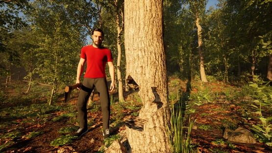 Screenshot Carpathian Survival