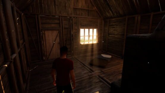 Screenshot Carpathian Survival