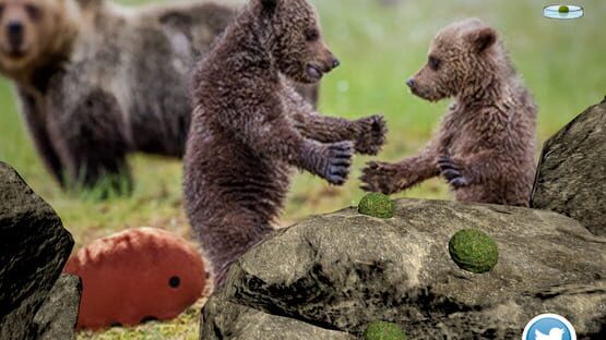 Screenshot Tardigrade Planet: The Legend of the Strongest Mascot in the Universe