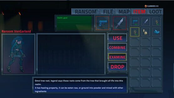 Screenshot VonGarland Castle: Beyond Blood