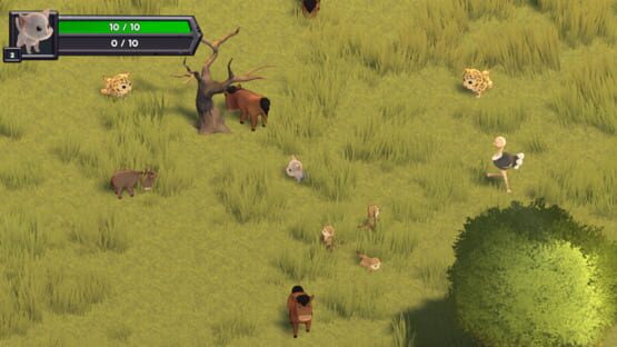 Screenshot Feisty Fauna