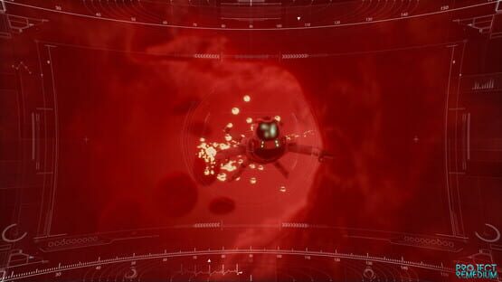 Screenshot Project Remedium