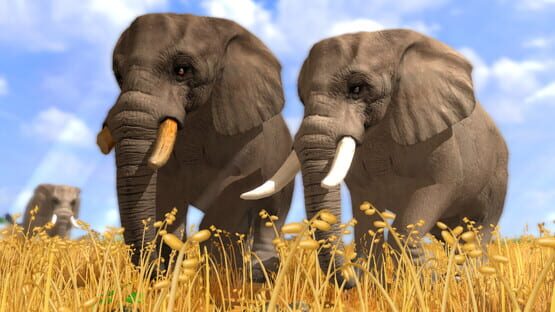 Screenshot Wildlife Park 3
