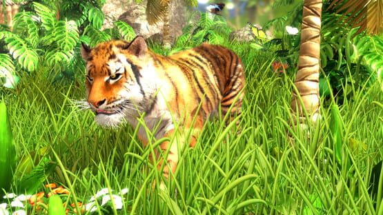 Screenshot Wildlife Park 3