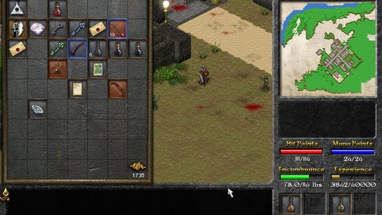 Screenshot Eschalon: Book I