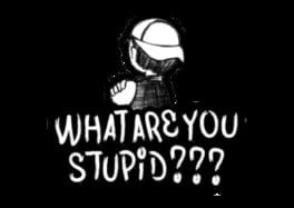 Cover What Are You Stupid