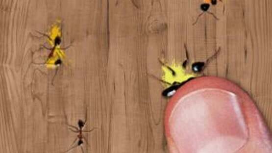 Screenshot Ant Smasher