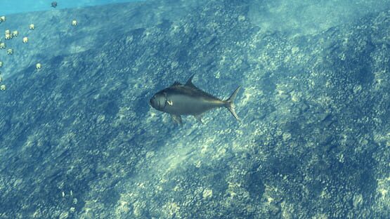 Screenshot Depth Hunter