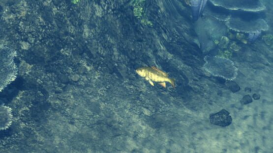 Screenshot Depth Hunter