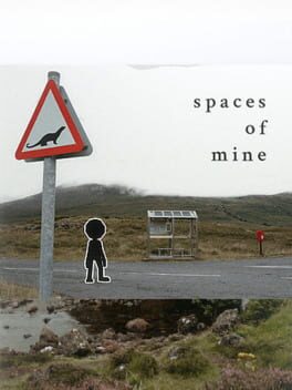 Cover Spaces of Mine