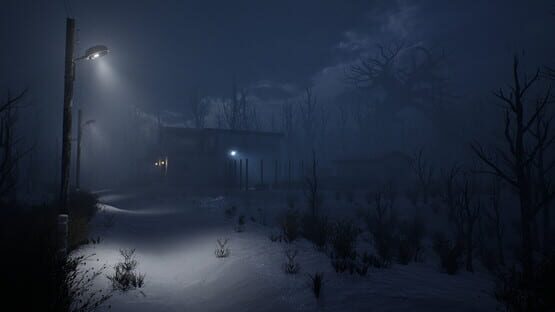 Screenshot Leak