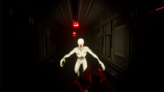 Screenshot Void Raider