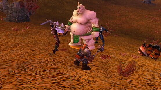Screenshot World of Warcraft: 15th Anniversary - Collector's Edition