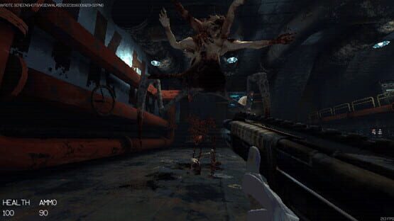 Screenshot Voidwalker