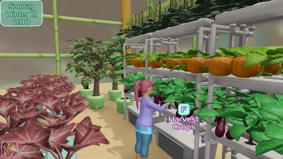 Screenshot Cave Oasis at Shylake