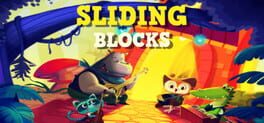 Cover Sliding Blocks