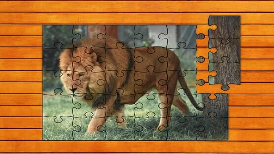 Screenshot Big Cat Jigsaw Quest