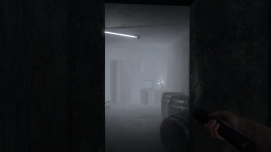 Screenshot Shadowed Descent