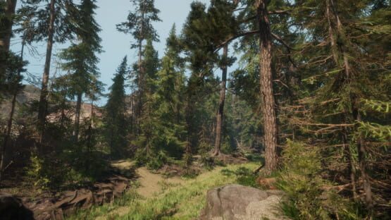 Screenshot A Walk in the Woods: VR